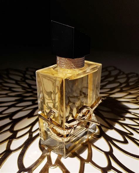 ysl perfume women dossier.